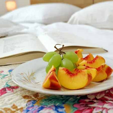 Eliana Apartman Zadar